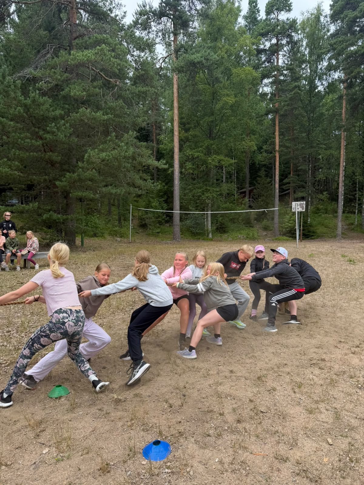 Artikkeli kuva